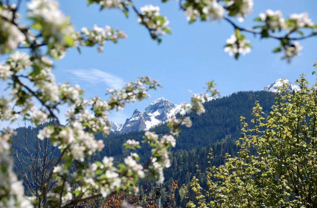 Landhaus Bergner Alm Fusch an der Glocknerstraße Exteriör bild