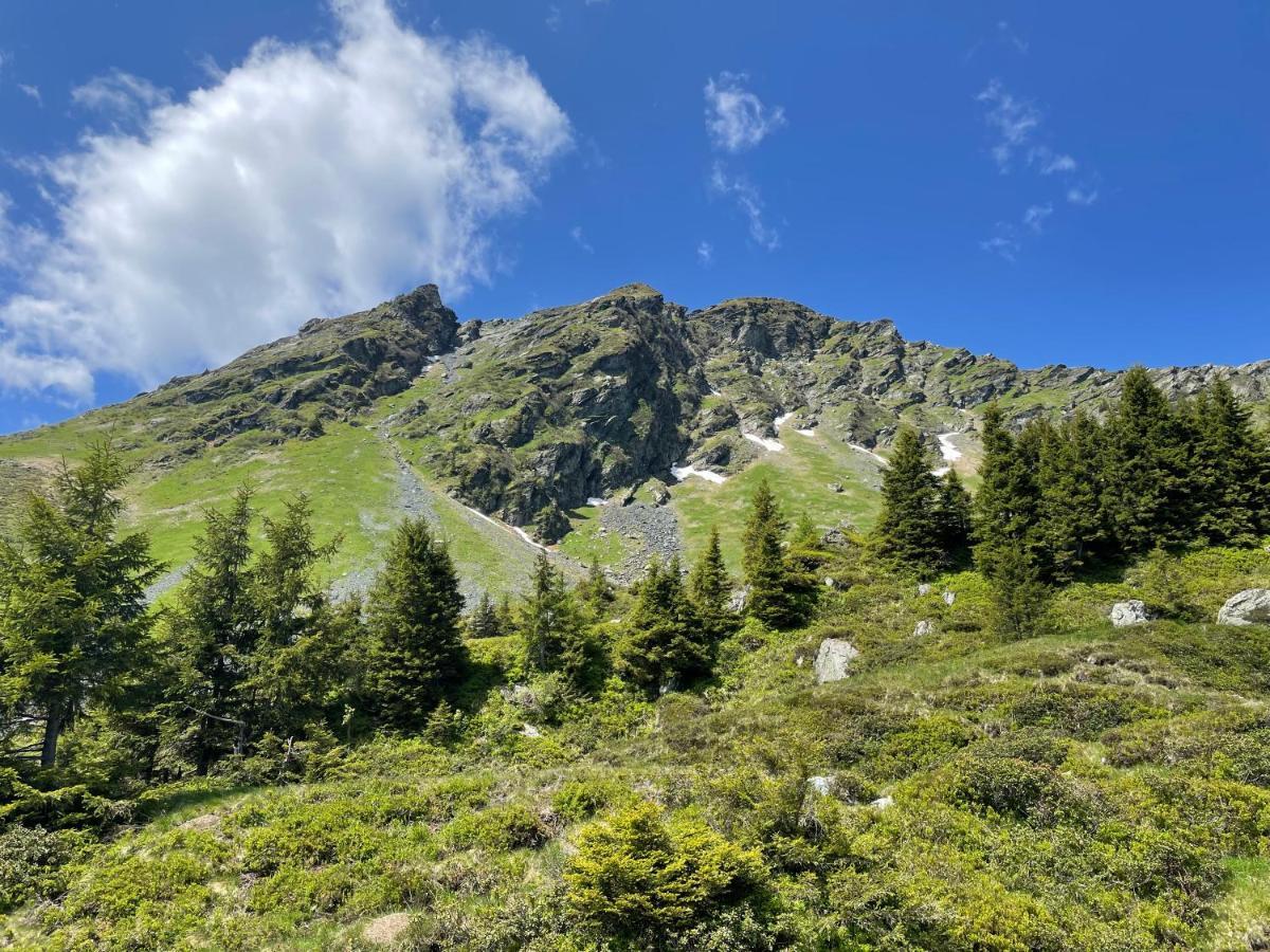 Landhaus Bergner Alm Fusch an der Glocknerstraße Exteriör bild