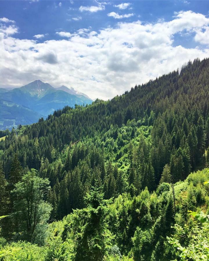 Landhaus Bergner Alm Fusch an der Glocknerstraße Exteriör bild